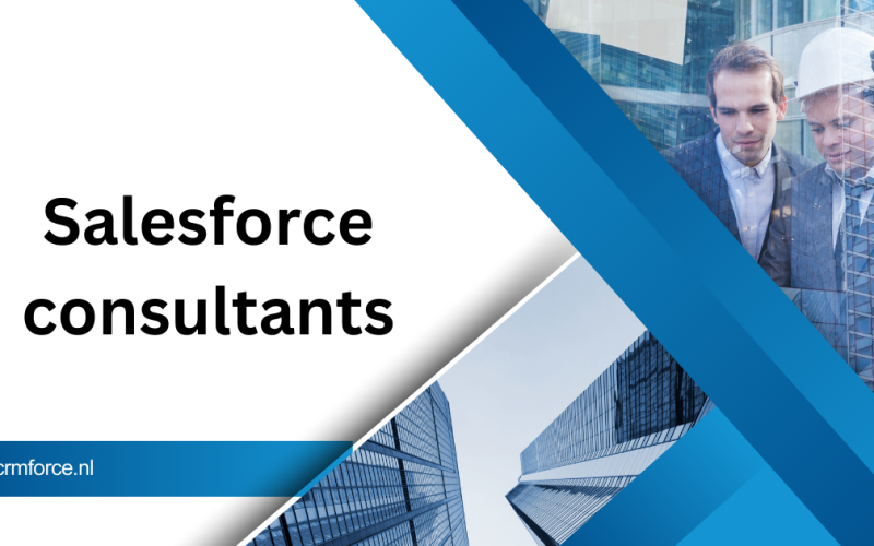 Salesforce consultants
